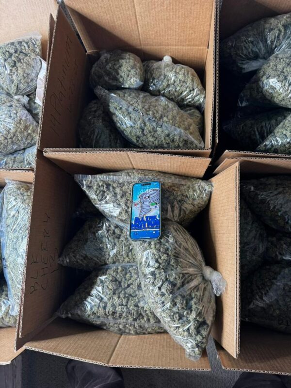 Exotic Weed - Image 2