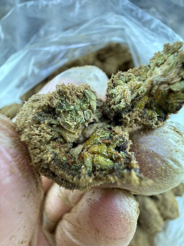 Exotic Weed - Image 4
