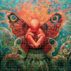 LSD Sheets